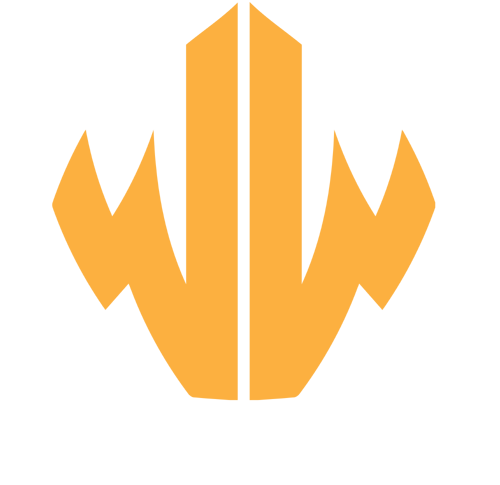 Wear Wink